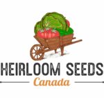 Heirloom Seeds Canada logo that links to website. Handdrawn wooden wheelbarrow filled with vegetable garden produce.