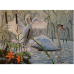 A painting of two swans in a lake surrounded by cattails. Light shimmering off the water and one swan flapping it's wings give feelings of romance.