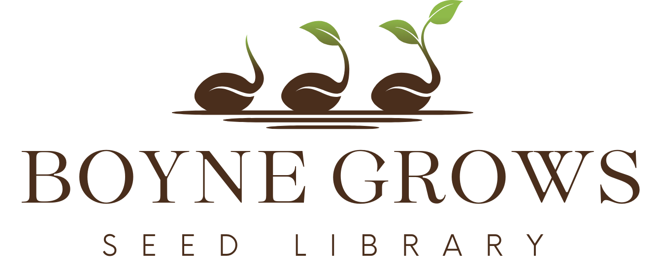 Three seeds at differing stages of sprouting side by side becomes the Boyne Grows Seed Library logo.