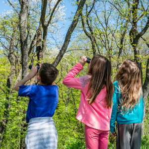 Three children looking through binoculars into the forest.