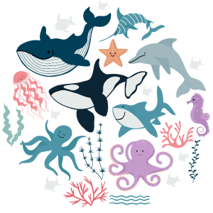 Computer graphics of various ocean animals, including an orca, shark, octopus, sword fish, seahorse, dolphin and starfish.
