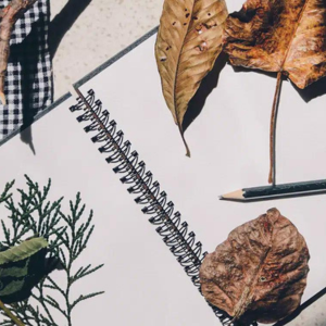An open journal with leaves and a pencil laying atop.
