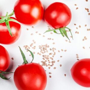 Bright red tomatoes and their seeds on a white paper towel.