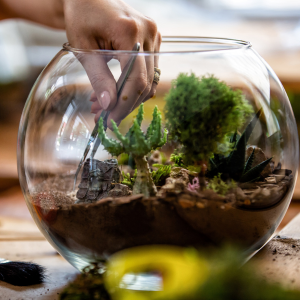 A glass terrarium with plants and moss being placed inside.